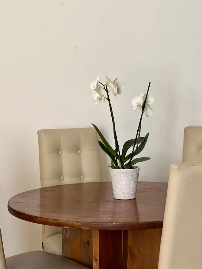 Novi Ligure Private Apartment ภายนอก รูปภาพ